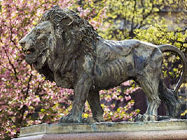 the lion and the statue